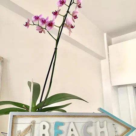 Zenobia City/ Beach No. 80 Lägenhet *